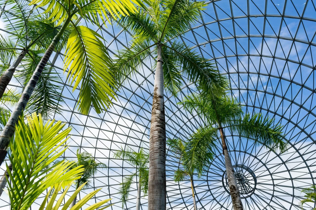 Green house garden