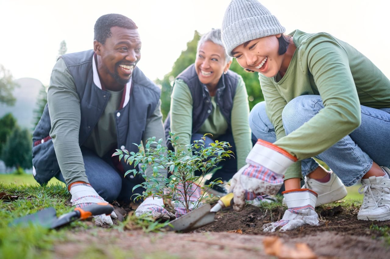 Gardening, community service and people volunteering in park, garden and nature for sustainability.