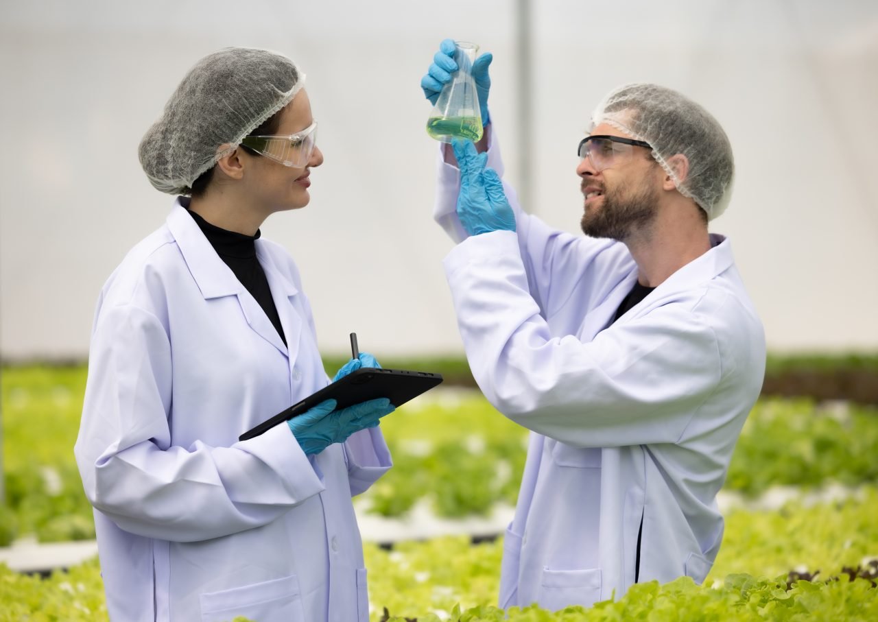 Hydroponic scientists assess solutions in flask, promoting sustainable growth with optimal nutrient