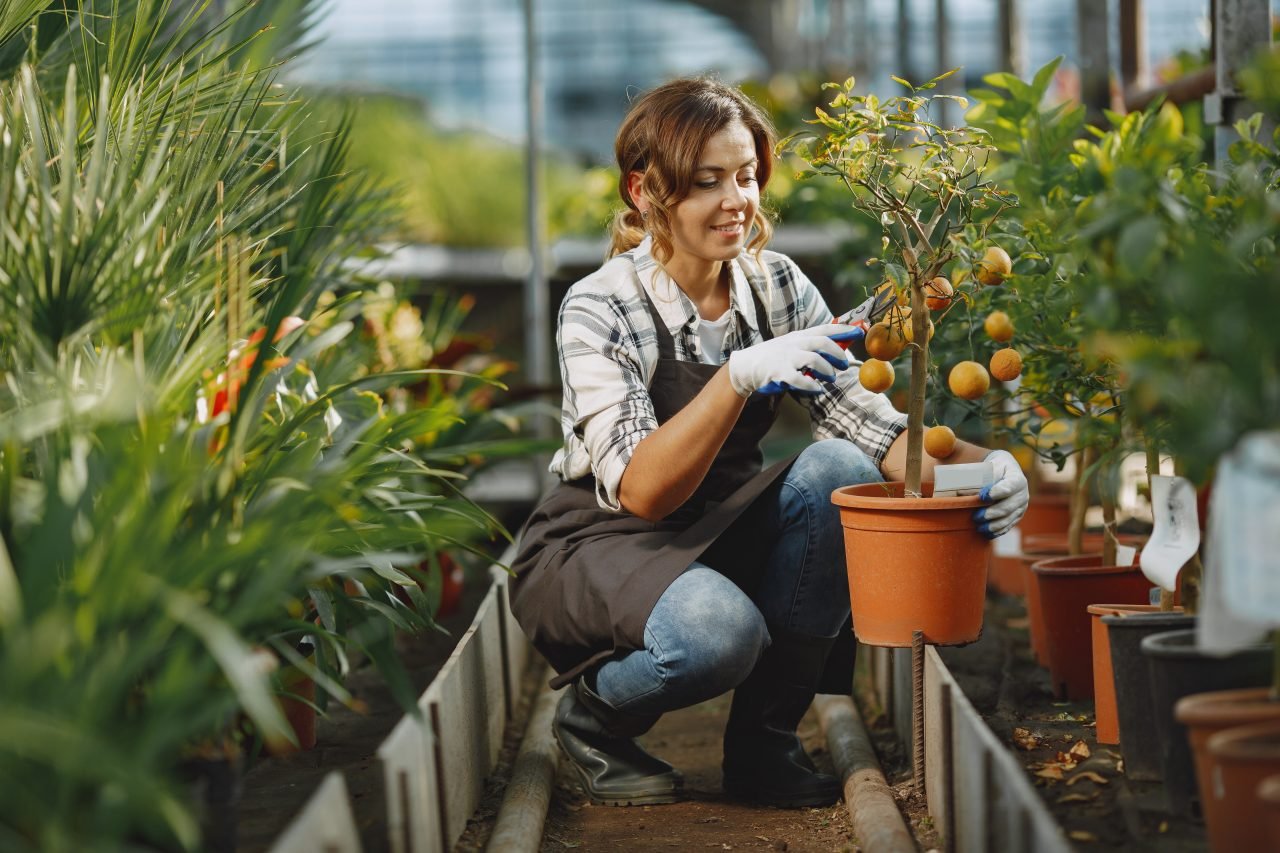 Woman in a apron working in a greenhouse